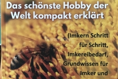 ... tieferer Einstieg in die Materie