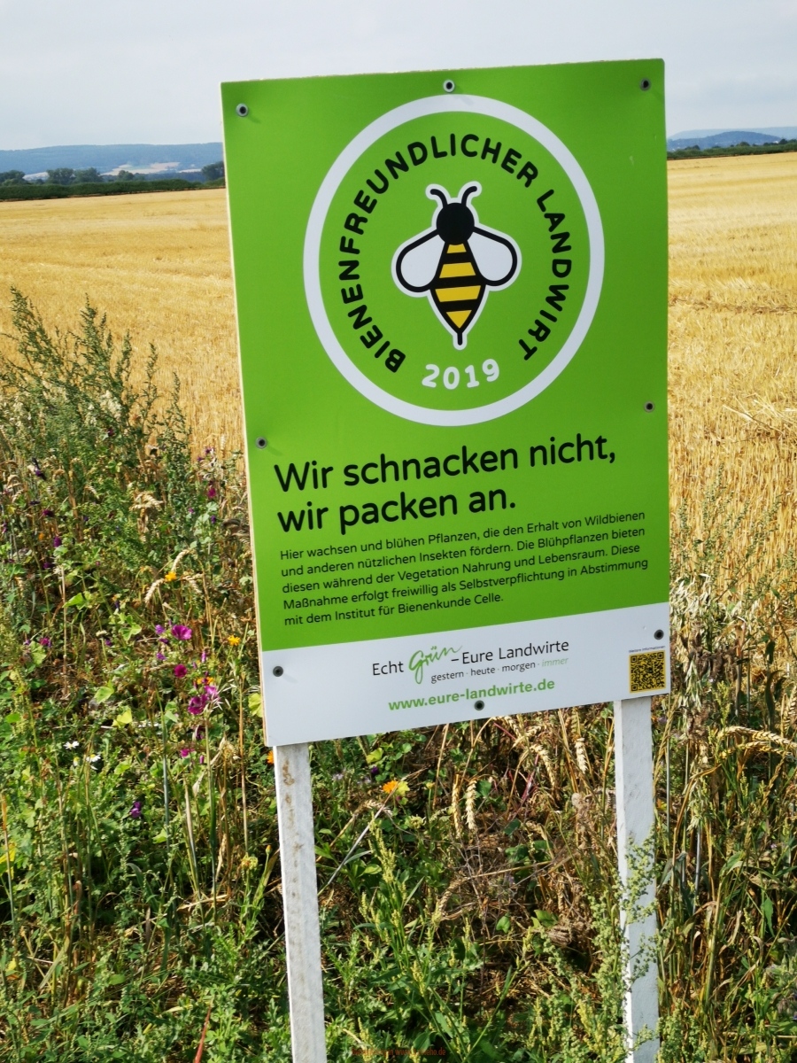 Landwirtschaft&Bienen