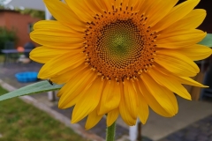 IMG_20190904_080044